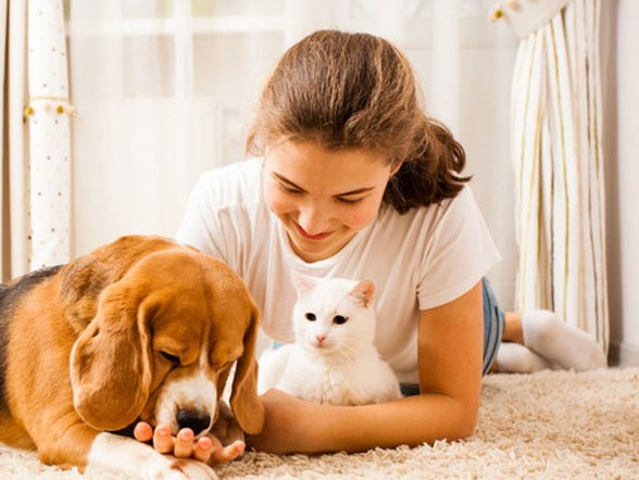 Carpet is Our Specialty